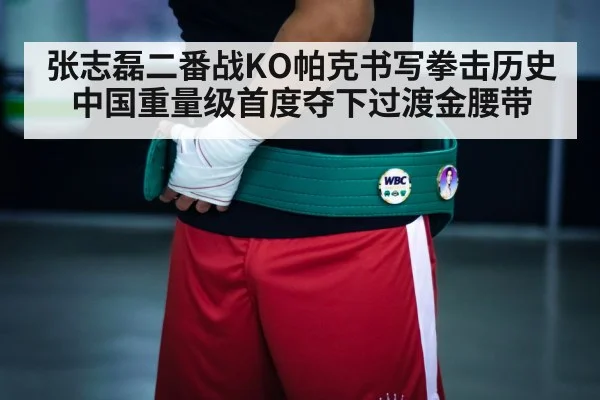 boxing championship belt
